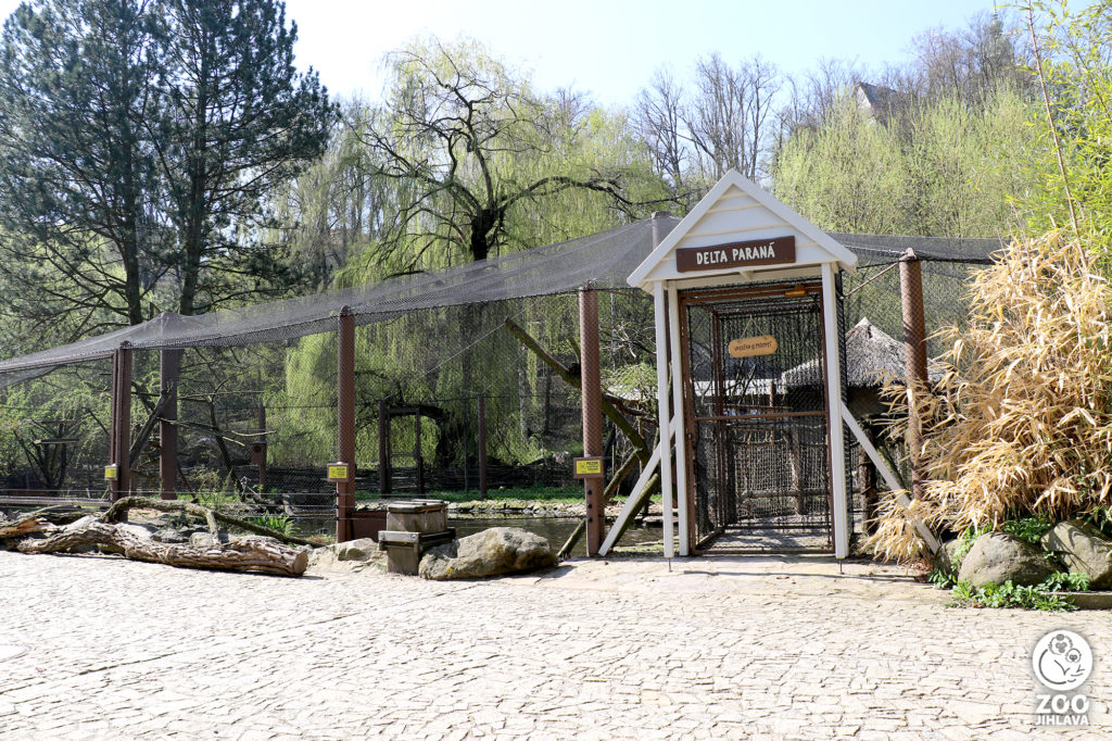 Delta Paraná - Zoo Jihlava
