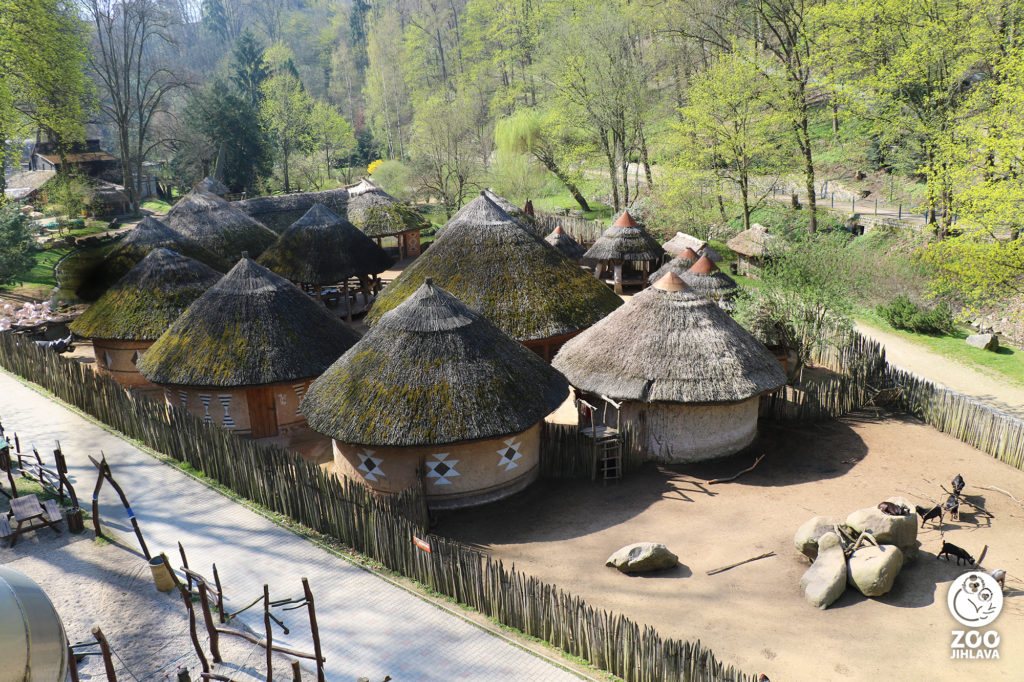 Matongo Zoo Jihlava