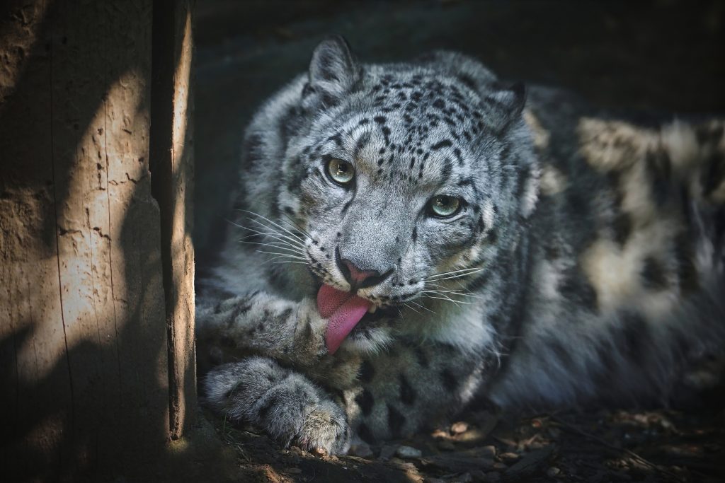 Zoo Jihlava m druhou nejvy nvtvnost v historii - Zoo Jihlava