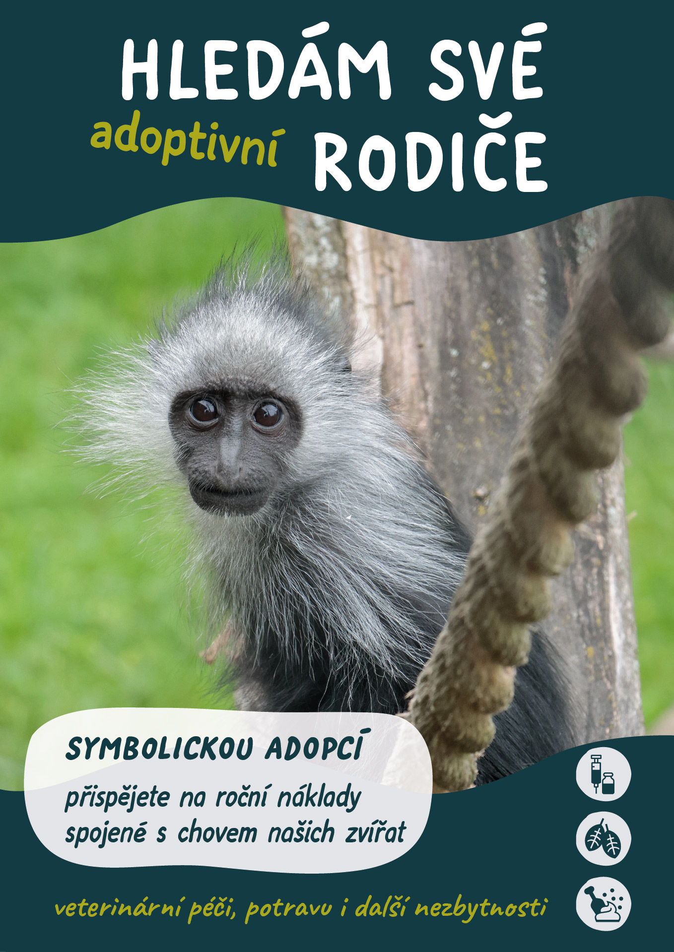 Symbolická adopce ZOO Jihlava